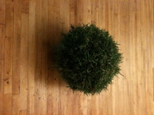 La multitud (The Multitude)