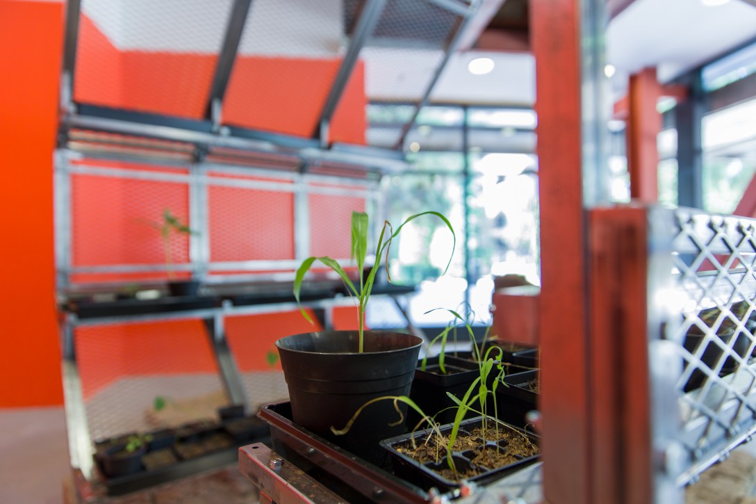 Nomad 13 close up Nicolay Maslov