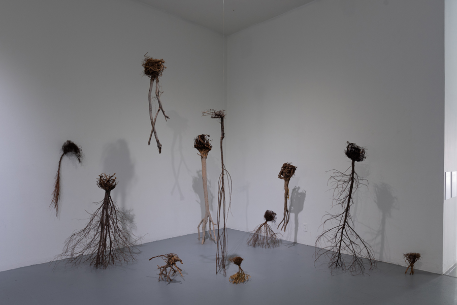 FLAX Paroxysm of Sublime 007