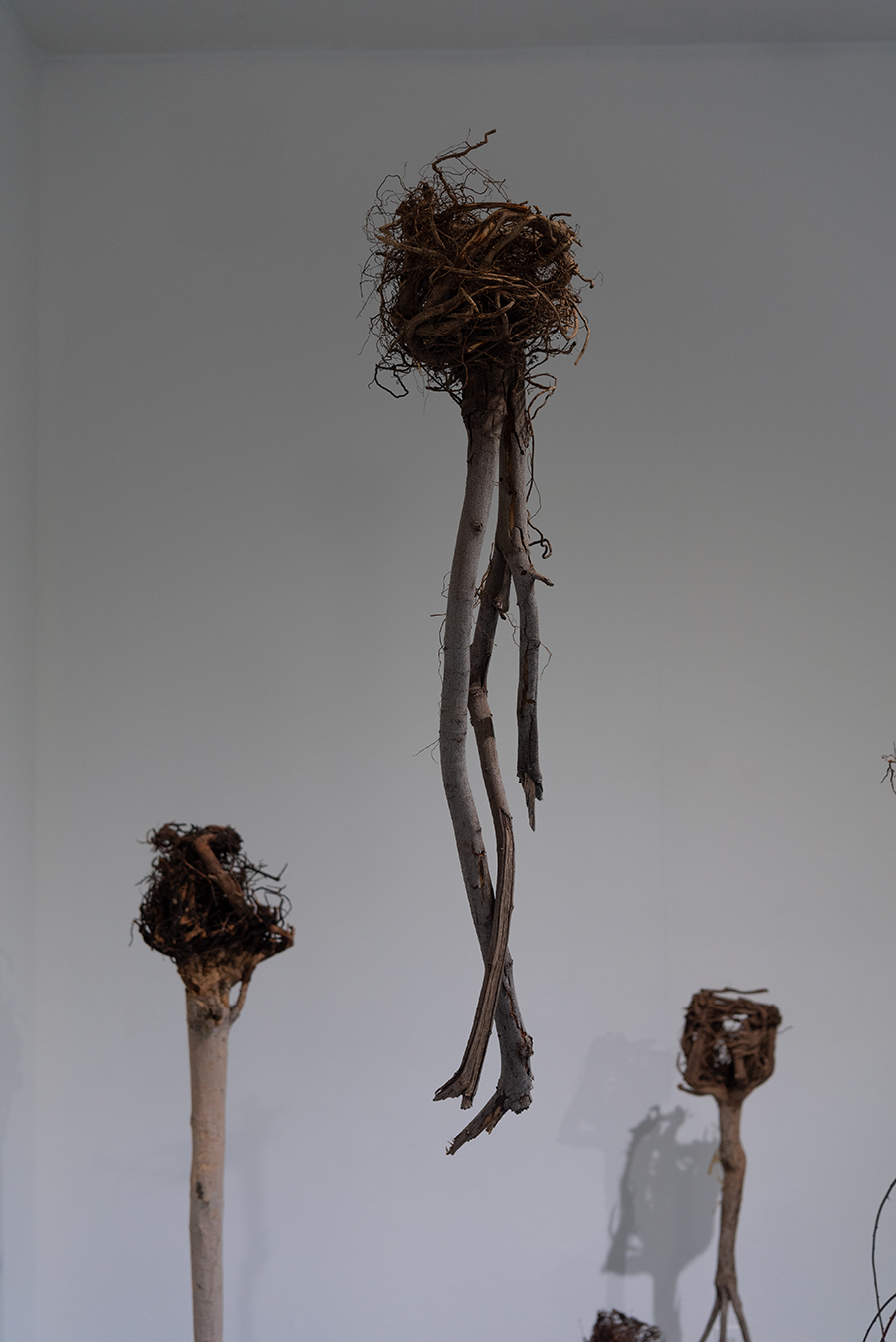 FLAX Paroxysm of Sublime 008